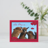 Het leuke Briefkaart van de Valentijnsdag van de (Staand voorkant)