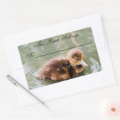 Het leuke Etiket van het Boek van de Eend (Envelop)