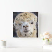 Het leuke gezicht van de Alpaca Vierkante Klok (Huis)