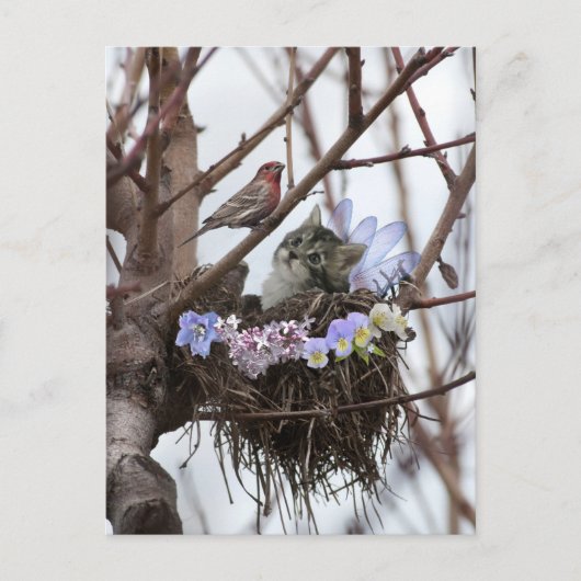 Het leuke katje en vogelbriefkaart van nestPasen Feestdagenkaart (Voorkant)