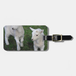 Het leuke Lam van de Schapen van de Tweelingen van Bagagelabel