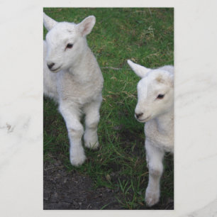 Het leuke Lam van de Schapen van de Tweelingen van Briefpapier