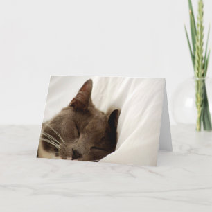Het leuke Lege Wenskaart van de Kat van de Slaap Kaart