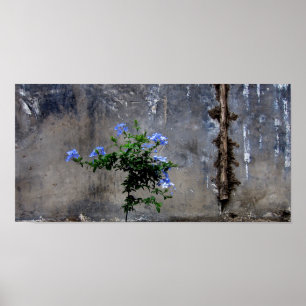 Het leven en de dood poster