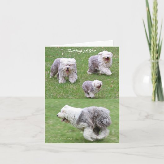 Het leven gebeurt! kaart (Voorkant)