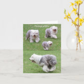 Het leven gebeurt! kaart (Gele Bloem)