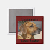Het leven is beter met een RHODESIAN RIDGEBACK MAG Magneet (Voorkant / Achterkant)