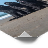 Het leven is beter op het strand bij neushonden poster (Hoek)