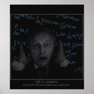 Het leven is complex poster