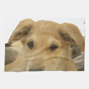 "Het leven is de moeilijkste school" Dog Art Print Theedoek