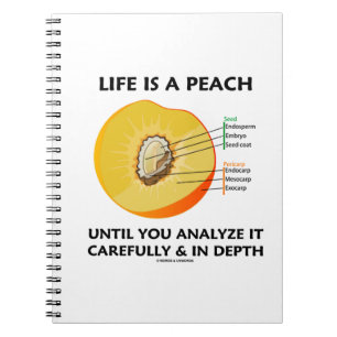 Het leven is een peach tot je de diepte zorgvuldig notitieboek