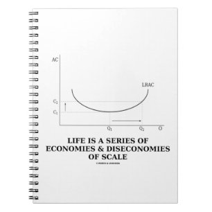 Het leven is een reeks van economieën & deseconom notitieboek