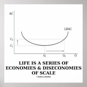 Het leven is een reeks van economieën & deseconomi poster