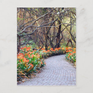 Het leven is een reis briefkaart