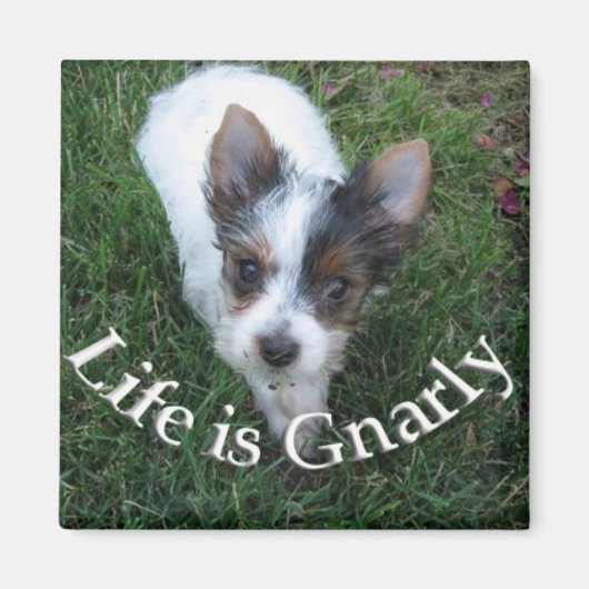 Het leven is Gnarly Magneet (Voorkant)