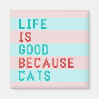 HET LEVEN IS GOED OMDAT KATTEN MAGNEET