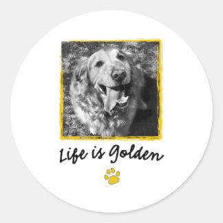 Het leven is gouden (Retriever) Ronde Sticker