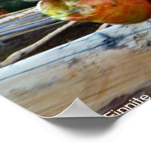 Het leven is het eenvoudigste plezier... poster (Hoek)