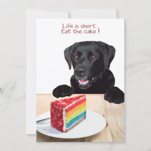 Het leven is kort, eet de taart - Black Lab Kaart