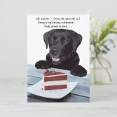 Het leven is kort, eet de taart - Black Lab Kaart (Staand voorkant)