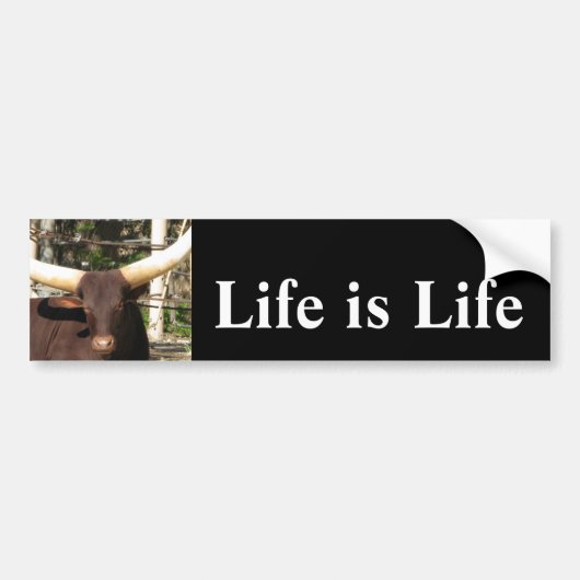 Het leven is      LifeBumper Sticker (Voorkant)