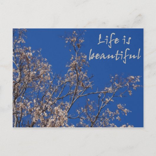 Het leven is mooi briefkaart (Voorkant)