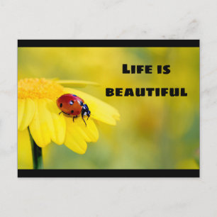 Het leven is mooi - Ladybug Briefkaart