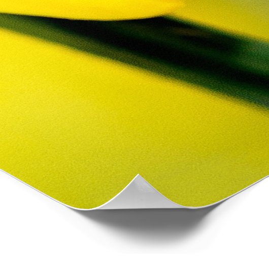 Het leven is mooi - Ladybug Poster (Hoek)