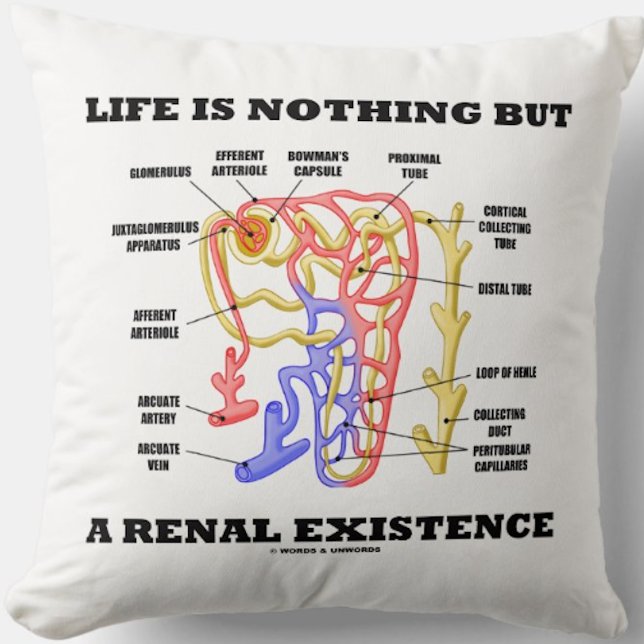 Het leven is niets anders dan een renaal bestaan ( kussen (Kidney's nephron throw pillow with the nephrology sentiment "Life Is Nothing But A Renal Existence")