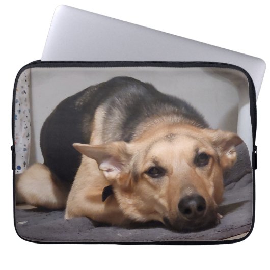 Het leven is Ruff Laptop Hoesje Laptop Sleeve (Voorkant)