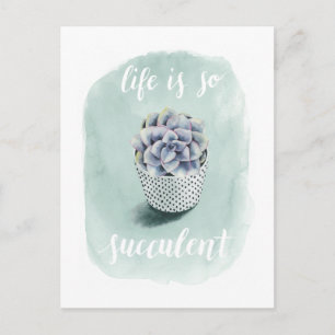 Het leven is Succulent I Briefkaart