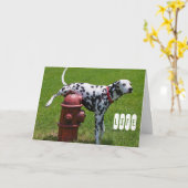 Het LEVEN Kaart (Gele Bloem)