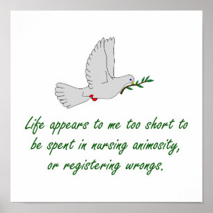 Het leven lijkt me te kort - vergiffenissen poster