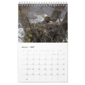 HET LEVEN VAN DE KALE AREND KALENDER (Jan 2027)