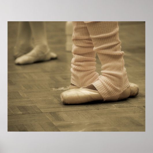 Het leven van een danseres Poster (Voorkant)