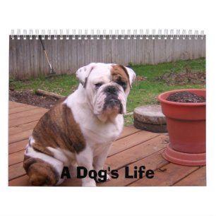 Het leven van een hond kalender