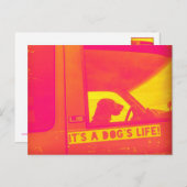 Het leven van een hond Post Kaart (Voorkant / Achterkant)