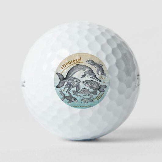 "Het leven van het Zee is belangrijk" Golfballen (Voorkant)