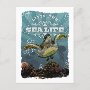 Het leven van het Zee Life Turtle Briefkaart