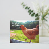 Het leven van kippen is beter briefkaart (Staand voorkant)