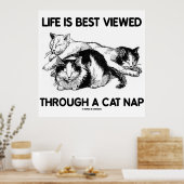 Het leven wordt het best bekeken door een kattendo poster (Keuken)