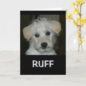 Het leven zou KEMPHAAN zonder een Vriend als u Kaart (Gele Bloem)