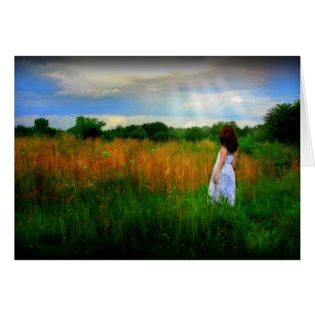 Het licht (Voorkant Horizontaal)