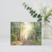 Het licht van bovenaf in het bos briefkaart (Staand voorkant)