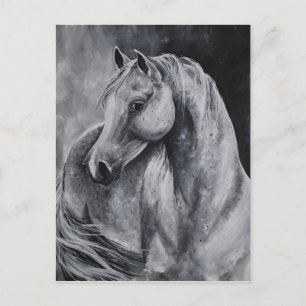 Het licht van de ochtend briefkaart