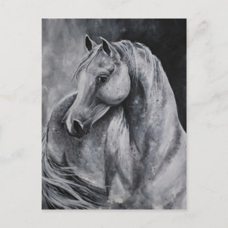 Het licht van de ochtend briefkaart