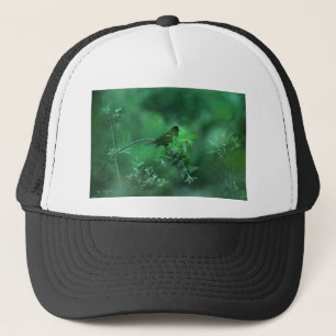 Het lied trucker pet