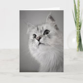 Het lijkt erop dat het je verjaardag is! (Kaart) Kaart (Voorkant)