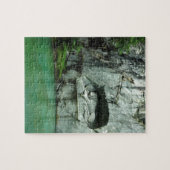 Het Lion Monument in Lucerne Legpuzzel (Horizontaal)