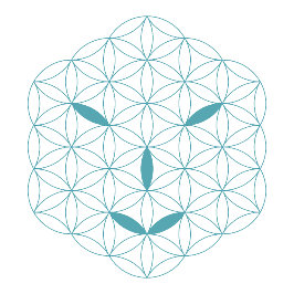 het Logo 01, Cyaan/Rood Trucker Pet